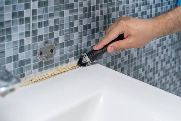 Best Localized Mold Remediation (e.g., coastal areas, humid climates) in Highland Heights, OH